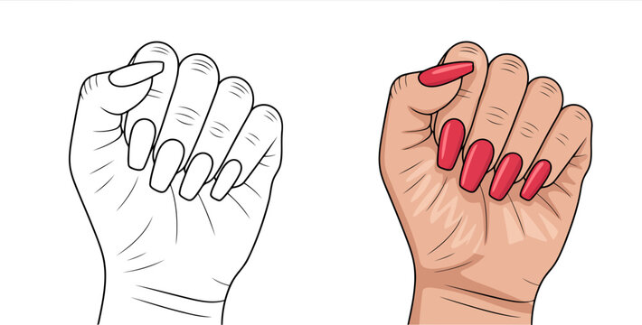 Woman's Hand Outline and Colored with Red Nails on White Background illustration