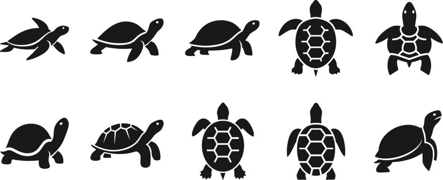 Turtle silhouette icons, aquatic animal vector illustration, sea turtle shell patterns, reptile swimming design, wildlife conservation symbol collection
