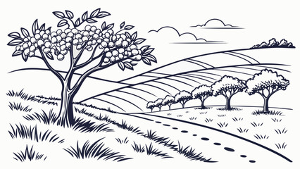 Fototapeta premium Orchard landscape line art illustration of rolling hills and fruit trees