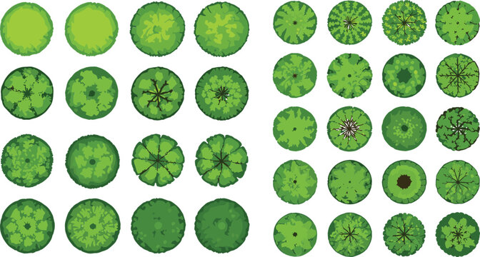Architectural Top View Tree Vector Set with Round Green Foliage Plan Symbols for Landscape Planning, Site Layouts, and Urban Map Planning Graphics