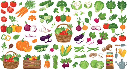 Obraz premium Fresh Vegetable Collection with Organic Garden Produce, Farm Harvest Crops, Healthy Food Ingredients, and Agricultural Illustration Set