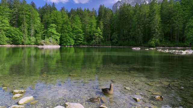 Badersee in Spring with the Zugspitze Group, Wetterstein Mountains, the Zugspitze Village of Grainau, Werdenfelser Land, Bavarian Alps, Upper Bavaria, Bavaria, Germany