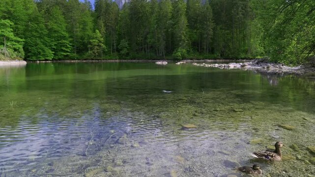 Badersee in Spring with the Zugspitze Group, Wetterstein Mountains, the Zugspitze Village of Grainau, Werdenfelser Land, Bavarian Alps, Upper Bavaria, Bavaria, Germany