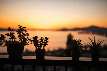 Fototapeta premium Potted plants on a balcony railing silhouette against a vibrant sunset sky overlooking a coastal bay with mountains and city lights in the distance during the golden hour