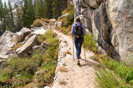 hiker using trekking poles walking on wilderness trail 