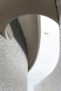 Curved modern architecture with patterned facade and bird