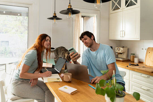 Couple Works Together in Kitchen With Cat 
