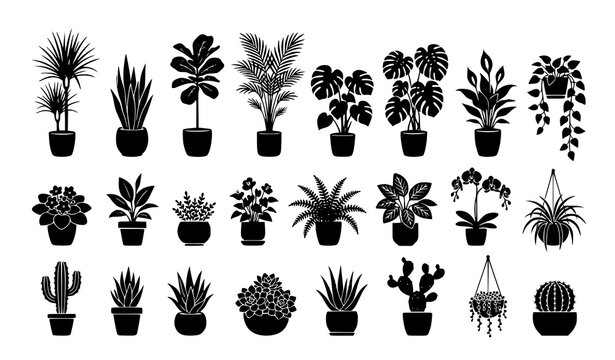 Large potted plant silhouette vector collection with decorative botanical elements