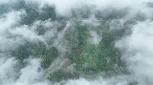 Aerial view flying through clouds above forested mountains