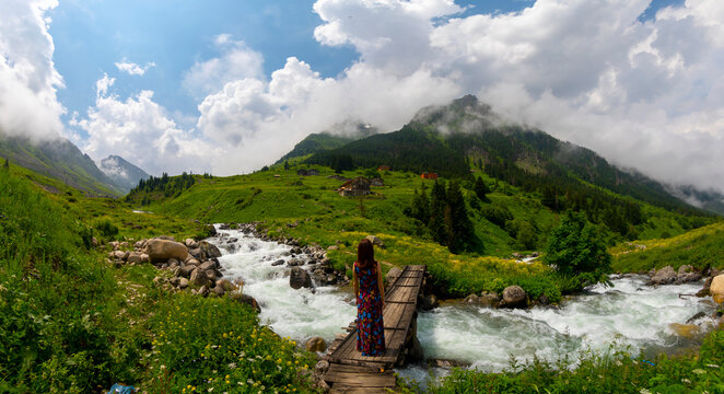 Elevit Plateau, formerly known as Yezovit Plateau, is a plateau located in the &Ccedil;amlıhemşin district of Rize province.