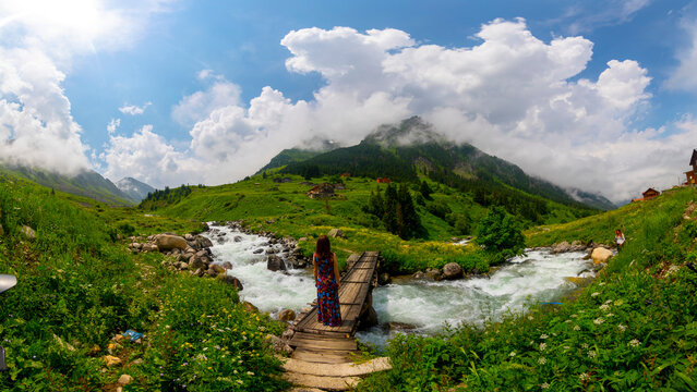 Elevit Plateau, formerly known as Yezovit Plateau, is a plateau located in the &Ccedil;amlıhemşin district of Rize province.