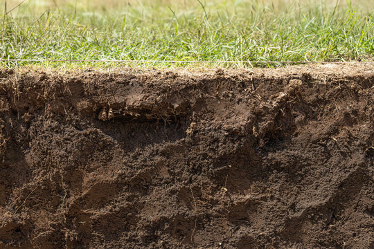 Soil cross section layer with green grass turf on top