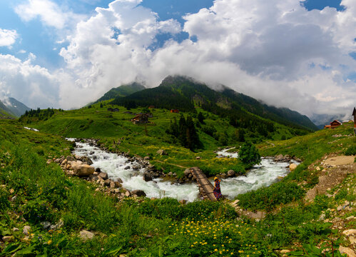 Elevit Plateau, formerly known as Yezovit Plateau, is a plateau located in the &Ccedil;amlıhemşin district of Rize province.
