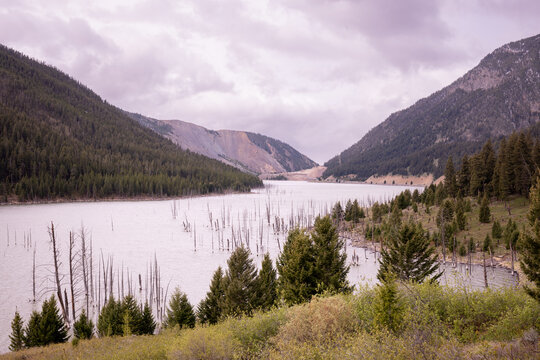 Mountain lake with flooded snags