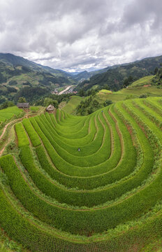 Mu Cang Chai Terraces