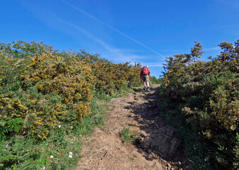 Randonnée sur le GR34 en Bretagne (FRANCE), de SAINT-BRIEUC jusqu'à TREGUIER.  Jour 3 : de Plouha à la Pointe du Minard. © Patricia