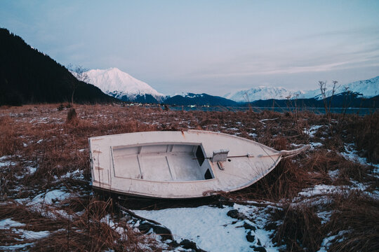 Washed Ashore