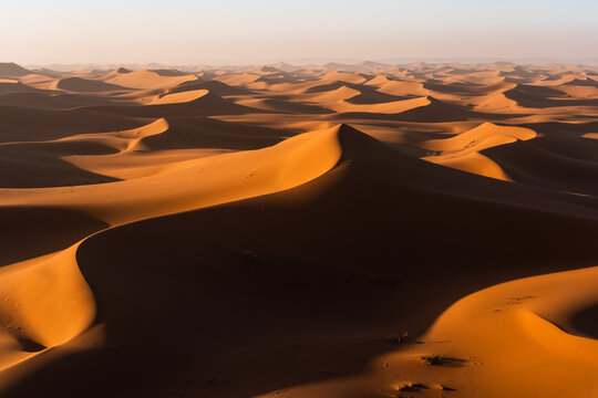 Sahara Dunes Sunrise