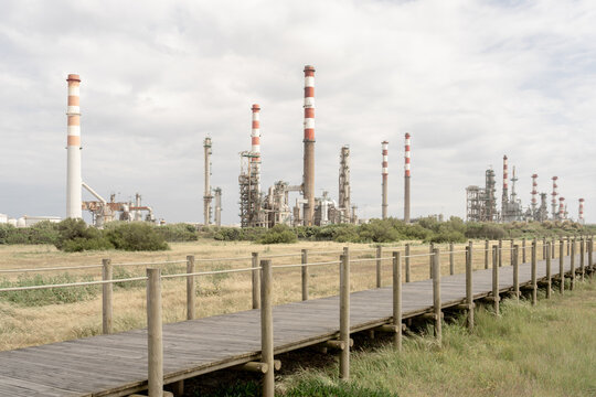 Industrial smokestacks rising above green vegetation under cloudy sky