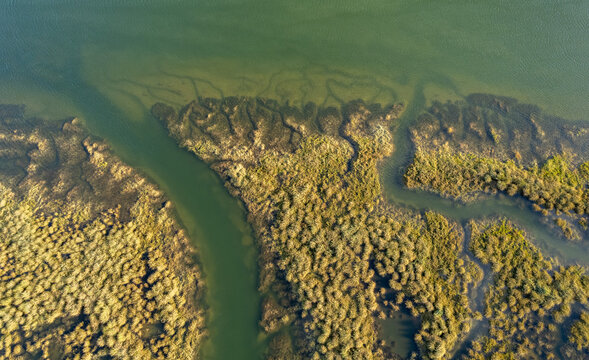 Marsh Channels Aerial Sunset
