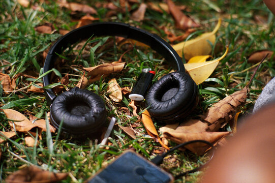 Headphones In Grass