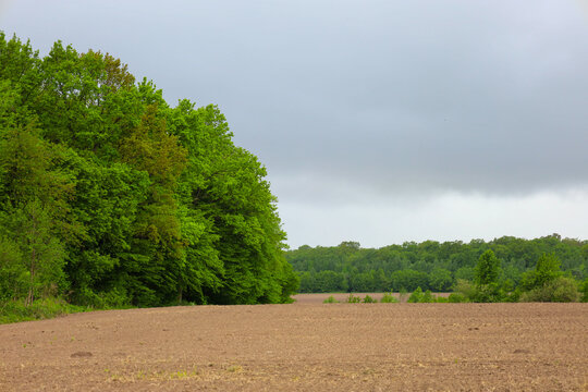 ​A wide plowed field stretches alongside a dense wall of lush green forest. The fresh agricultural landscape borders wild nature under a heavy cloudy sky, foreshadowing an approaching summer or spring