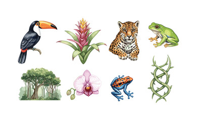 Obraz premium Vibrant Amazon rainforest wildlife and flora collection with toucan, jaguar, and frogs