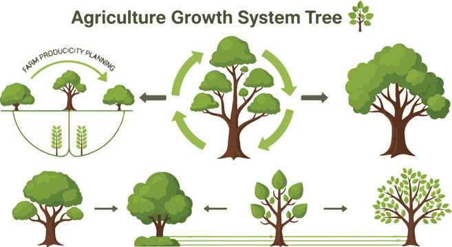Agriculture growth system tree infographic chart diagram vector illustration for sustainable farming