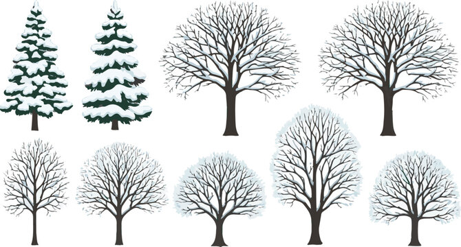 Winter pine and bare tree silhouettes vector illustration set isolated on white background