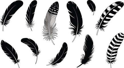 Stylized feather illustrations in black and gray, showcasing diverse shapes, textures, and artistic bird-inspired decorative artwork style © MDABDULLAH