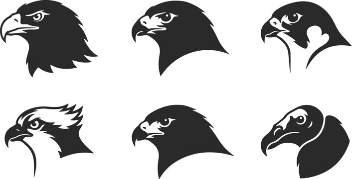 Set of bird of prey heads, eagle, falcon, hawk, osprey and vulture icons