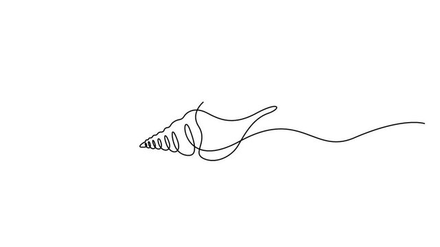 Sea shell animation in continuous line drawing style for tropical summer designs. Minimalist single line art animation of a coastal sea shell on a white background.