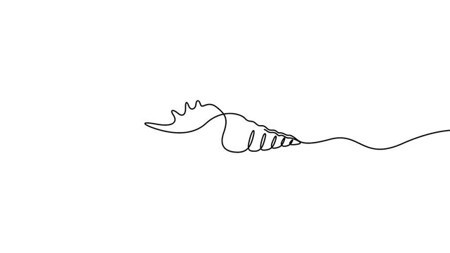 Seashell animation in minimalist continuous line drawing style for summer concept designs. Minimalist single line art animation of a coastal seashell on a white background.