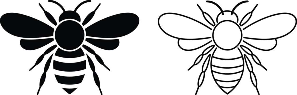 Honey bee vector illustration, Honey bee icon set
