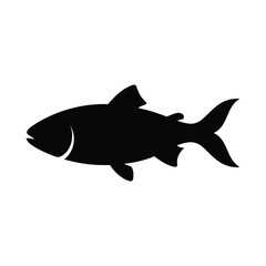 Fototapeta premium vector illustration of a shark