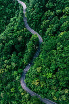 Forest road background with cars green energy and eco friendly transport