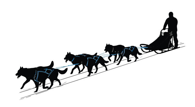 Sled dogs pull a wooden sled across a snowy landscape during a winter expedition trip.