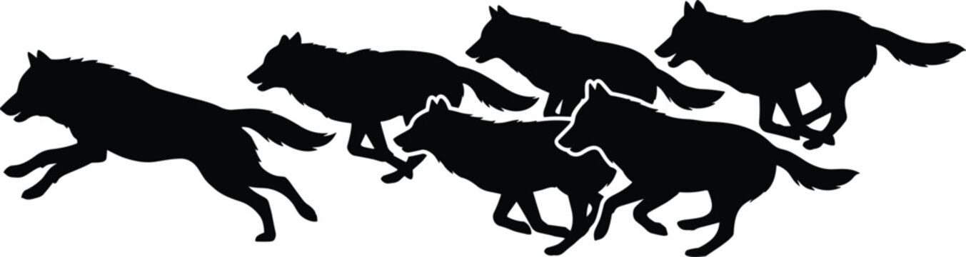 Silhouette of five wolves running and leaping in a dynamic group formation wolf pack