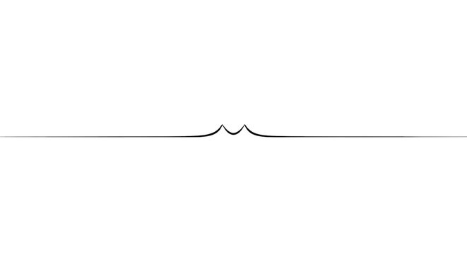 Minimalist black line divider with a decorative double arch center