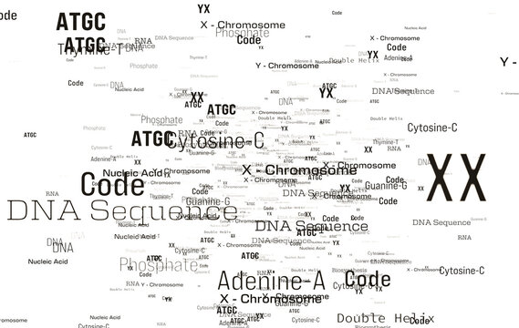 DNA, RNA, X and Y chromsome, biotechnology, word cloud. DNA sequence, phosphate, amino acids, biosynthesis, code, science, nucleic acids.