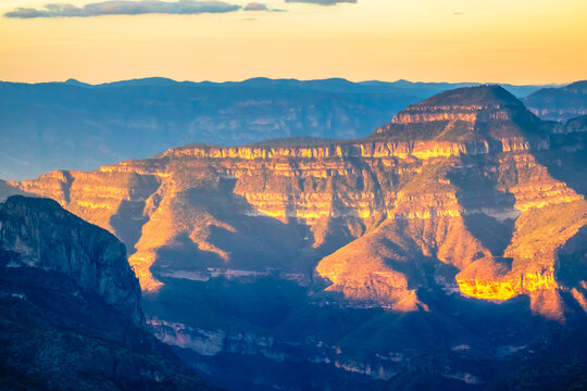 Golden hour in the forest of the Sierra Madre Occidental in Mexiquillo, Durango