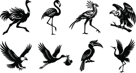 Bird Silhouette Collection Featuring Exotic, Tropical and Flying Bird Species © MdReazul