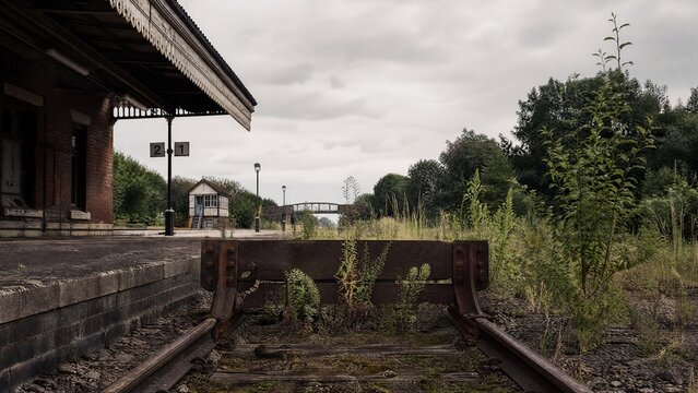 Rusty end tracks of an old railway station disappearing into weeds.