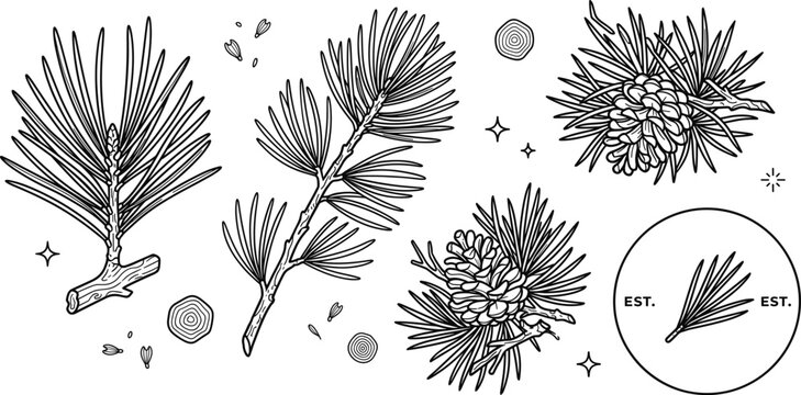 Pine Tree Branch Cone Forestry Logo Stamp Vector Line Icon Art Set