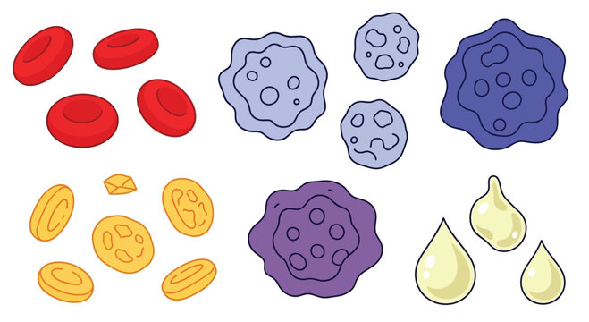 Blood components and cells illustration set