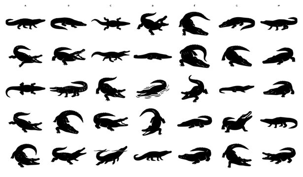 35 crocodile silhouettes different poses and angles wildlife vector collection
