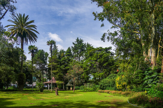 Scenic landscape of The Victoria Park, a public botanical garden located in Nuwara Eliya, Sri Lanka. The park was formally named in 1897 to commemorate Queen Victoria.	
