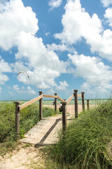 Fototapeta premium bridge path to the sea