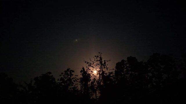 Bright Moon Shining Behind Dark Tree Silhouettes