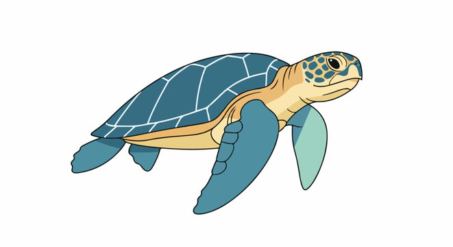 A stylized illustration of a sea turtle swimming, depicted with a blue shell and beige body